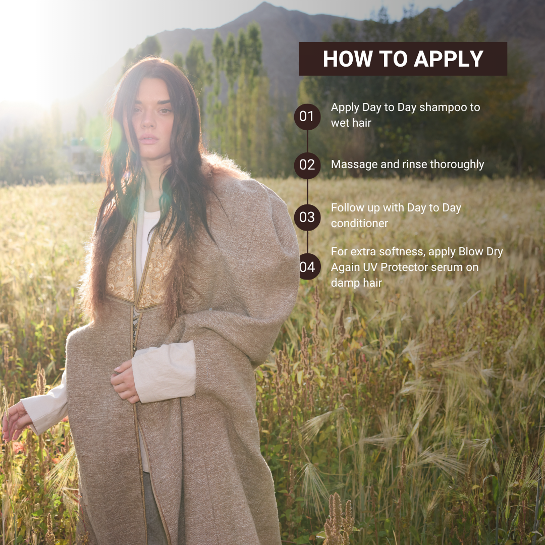 Day to Day Care Shampoo